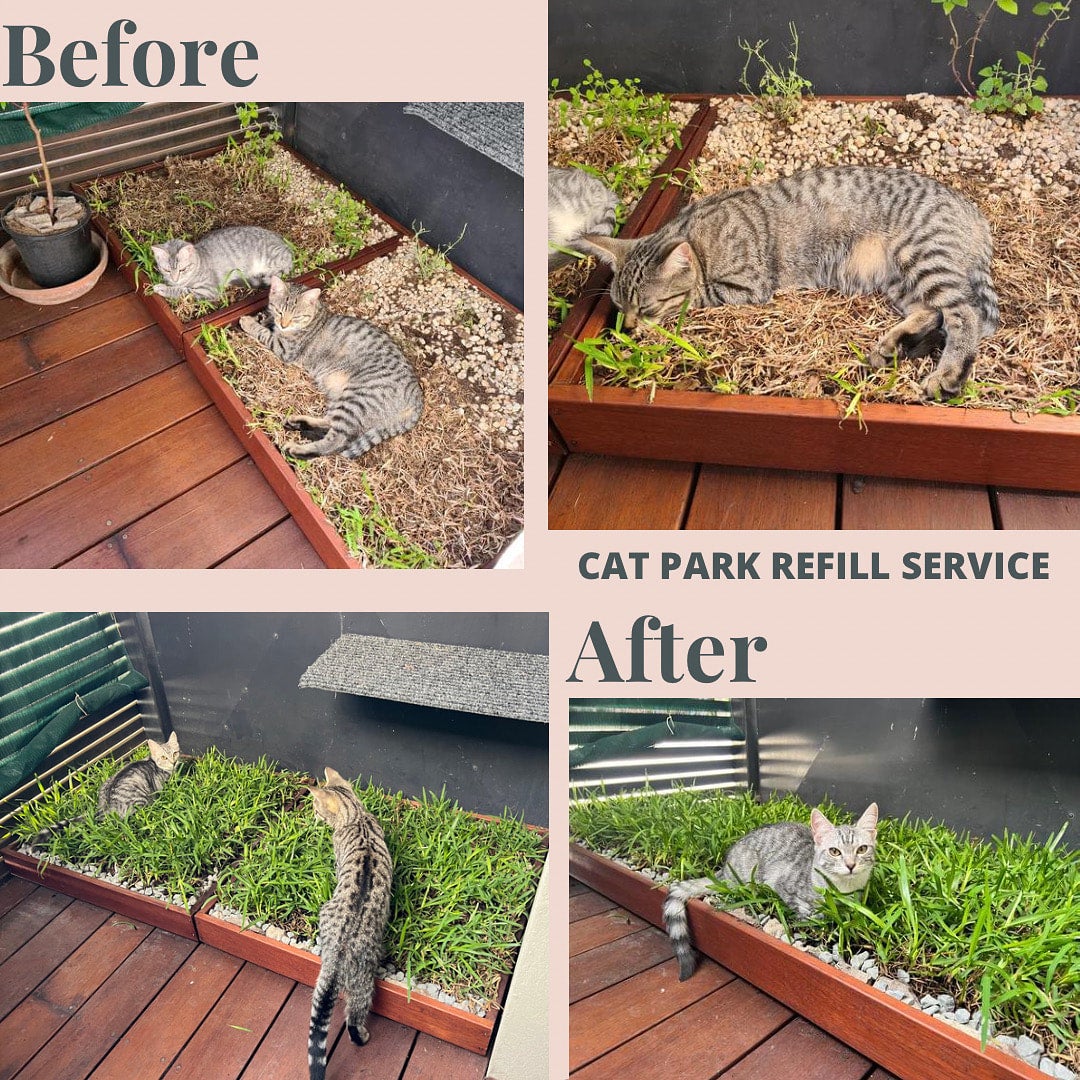 Cat Park Refill Service The Cat Park